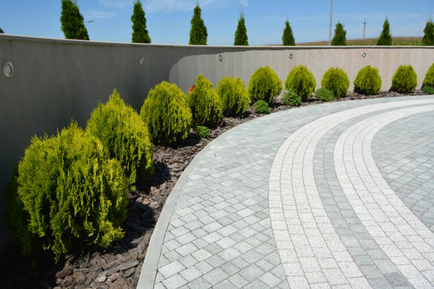 Best Residential Paver Driveway  in Lead, SD
